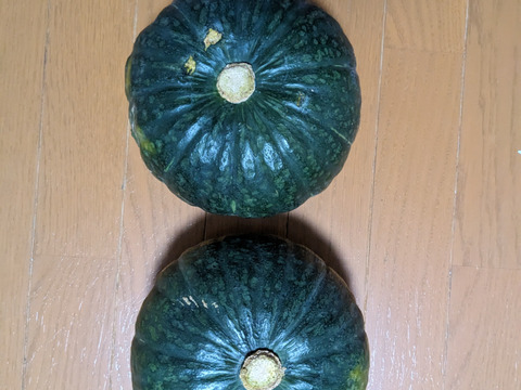旨さぎゅぎゅっと濃縮「特濃こふき」カボチャ　2玉(約4.2kg)