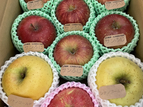 ☆農薬不使用りんご☆と特別栽培りんご(品種おまかせ)詰め合わせ3キロ（８〜１２玉）