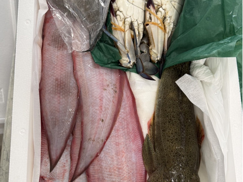 七福丸の鮮魚ｂｏｘ（約２ｋｇ）