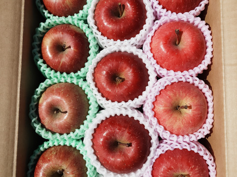 ☆3種の《ふじ》【食べ比べ】☆農薬不使用りんご入り☆3キロ（８〜１２玉）