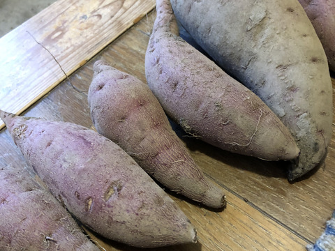 自然栽培ひかりのたねのサツマイモ2キロ