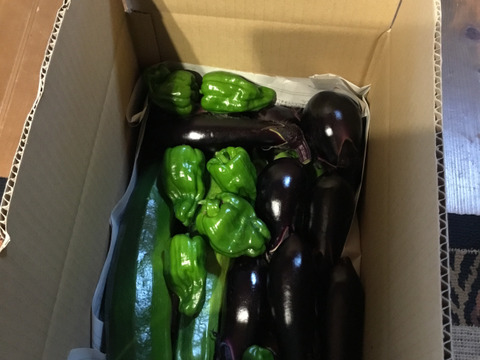 旬の野菜セット（80サイズ段ボール箱に　５～10品目）