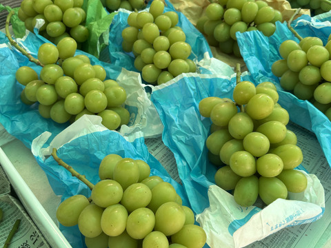 【母の日ギフト】

『冷眠』で旬をそのままに！
晴れの国岡山県産
冷凍ぶどう詰め合わせ120g×4Ｐ