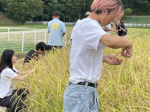 旨みたっぷり！穴穂米５kg
