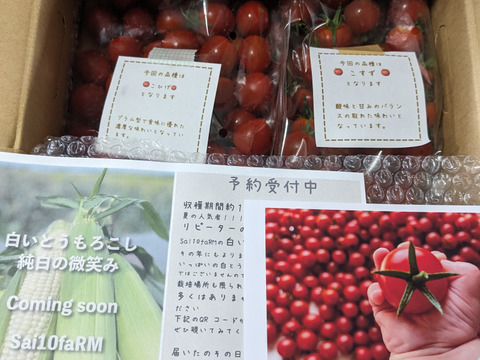 笑顔引き出す！みにとまとの食べ比べ 1kg