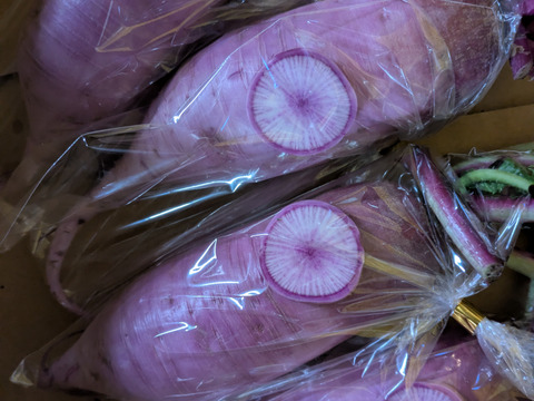 ❄️☃️冬の野菜セット☃️❄️