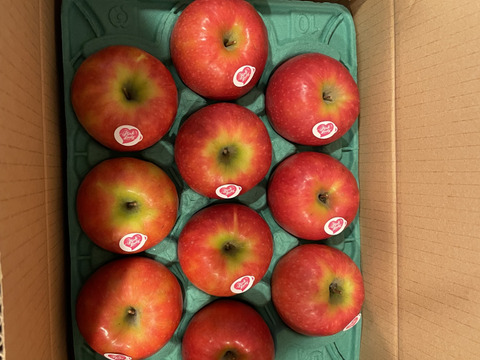 ⚠︎1月7日から発送🍎 ピンクレディ®︎3キロ箱  長野県 信州 安曇野 リンゴ 幻 幻のリンゴ 予約 希少 旬 6玉〜16玉サイズ 商品ID42100 ピンクレディー