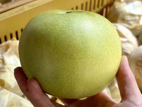 なつひめ梨　3キロ