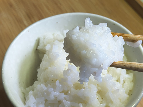 令和7年産】晴れの国岡山産コシヒカリ精米済み10kg：岡山県産の