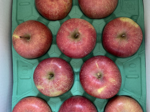 【りんご】樹上完熟「サンふじ」家庭用5ｋｇ　福島産　他県に引けをとらない美味しさ