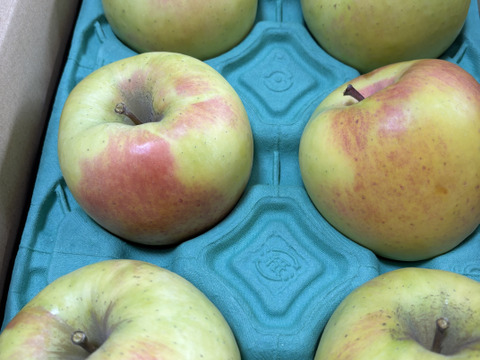 マツコDXさんが絶賛✨【このりんごを嫌いな人はいますか？？】名月 3キロ箱 6玉〜16玉サイズ 商品ID44435 ぐんま名月 甘い 信州 リンゴ 幻 幻のリンゴ 予約 希少