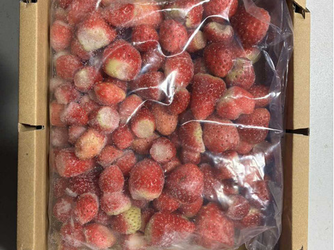 【冷凍いちご】「あまほっぺ」「サマーリリカル」　１㎏【人気抜群の長野県オリジナル品種】発色が良く甘味と酸味のバランスがよく加工用にピッタリ！甘酸っぱくジューシー！名匠の育てた夏イチゴ！