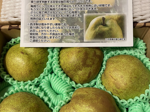 2025年度先行予約】 食べ頃出荷だから安心!【 特秀品 ラ 2025年度先行予約】 食べ頃出荷だから安心!【 特秀品 ラ