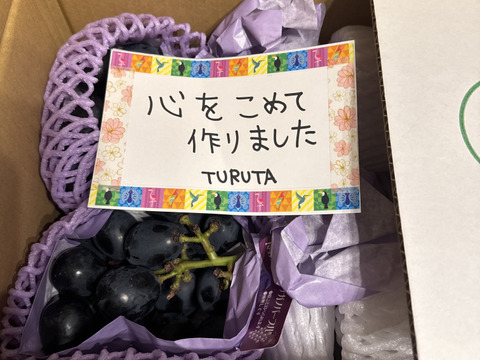 新鮮 大粒 長野県产ナガノパープル産地直送4kg 大粒Bigサイズ#種なし＃皮ごと食べれる！【ナガノパープル 長野産