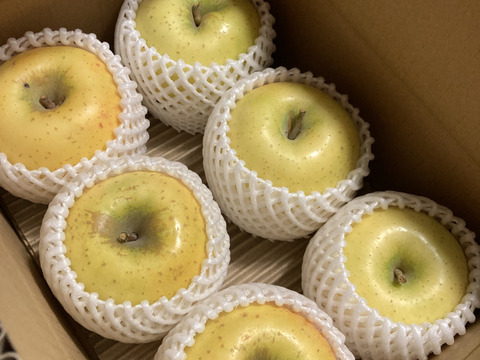🍏黄金の美味しさ！葉取らず栽培『シナノゴールド』家庭用～青森直送～２Kg　６個から８個入り