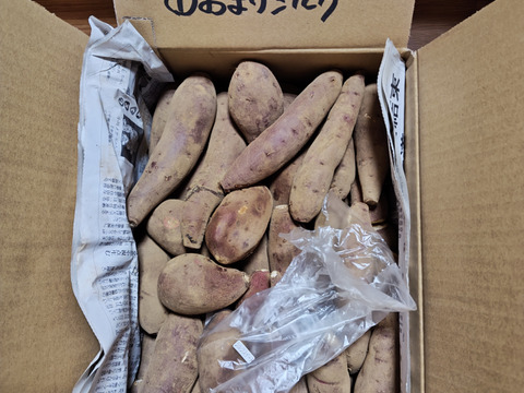 食べ頃サイズ！ホクホク食感！千葉県香取市産【紅あずま】4.8kg S/SSサイズ