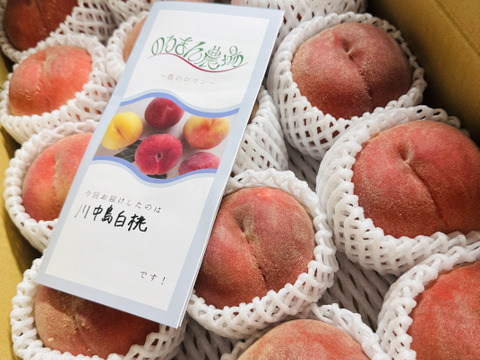 【数量限定】川中島白桃　家庭用 5kg