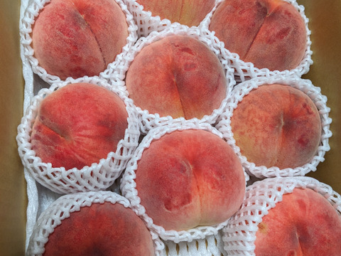 運命の出会い⁉️【67品種の桃を栽培】品種は何が届くかお楽しみ！白桃3㎏【夏ギフト】