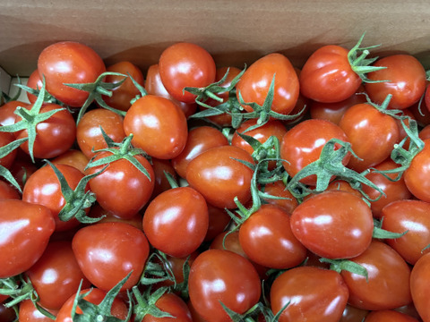 切ったらハート⁈  美味しくてかわいいトマトベリー　1kg