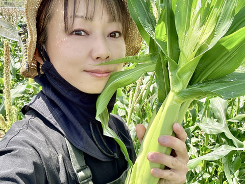 Sサイズ[信州産] 旬のもぎたて！皮付きヤングコーン