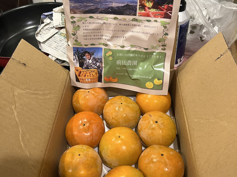 和歌山県産　富有柿　極甘(家庭用)S～Lサイズ【8個～11個入り】