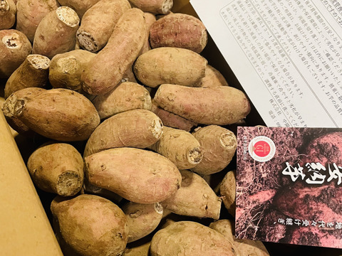 中園ファームの熟成安納芋（生芋）　S/2Sサイズ　５キロ