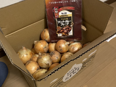 【淡路島　和田農園】数量限定淡路島産玉ねぎ訳ありお試し用５kg