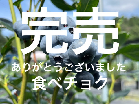 パクパクが止まらない！養液栽培で育てた『極旨ブルーベリー』1kg（250g×4パック）のたっぷりセットです！【栽培期間中農薬不使用】 品種ミックス 旬 生食用 加工用 ベリー 果物 ギフト 家庭用
