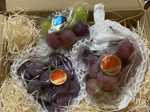 お買い得品！濃厚果汁クイーンニーナ　800g小中房2～3房　『クール便』