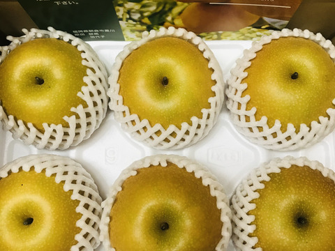 大豊作600円引き‼️【2品種まとめ買い】あきづきと豊水梨✨️どちらも甘くてキメ細かとってもジューシー💦ですが食べ比べるとびっくり‼️美味しさの違いが分かります😋ご贈答にもおすすめ‼️