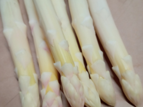 ホワイトアスパラガス