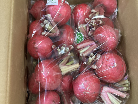 手で皮がむける　もものすけかぶ3ｋｇ　有機ＪＡＳ