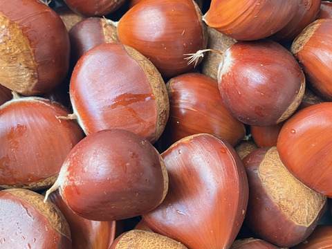 低温熟成・無燻蒸 サイズバラ栗 (１㎏)