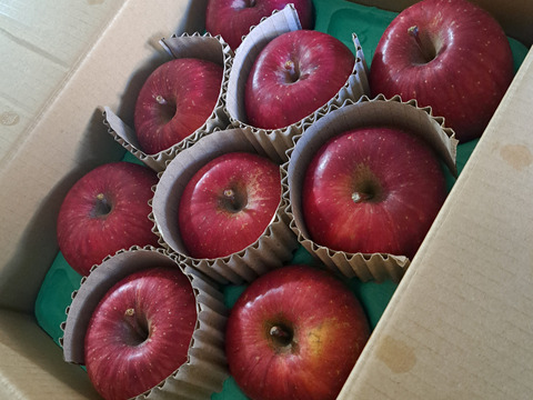 【蜜入保証】【サンふじ】（2kg・9～10個入り）パリパリ・ジューシーお得な家庭用