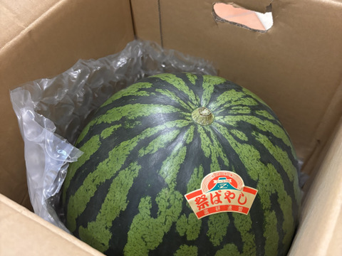人気No. 1“特選”大玉スイカ🍉3L （8〜9kg）   1玉入り　一つ一つ厳選しお届けします👨🏽‍🌾