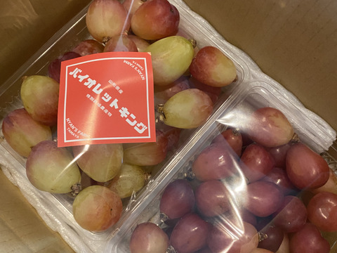 食べ比べ♡マイハート♡バイオレットキング♡つぶつぶパック1キロ♡山形県産ぶどう