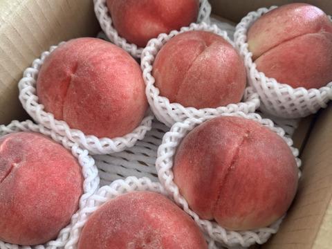 【7月下旬】かたい桃「なつっこ」約2kg・6～8玉１箱山梨県南アルプス上宮地産