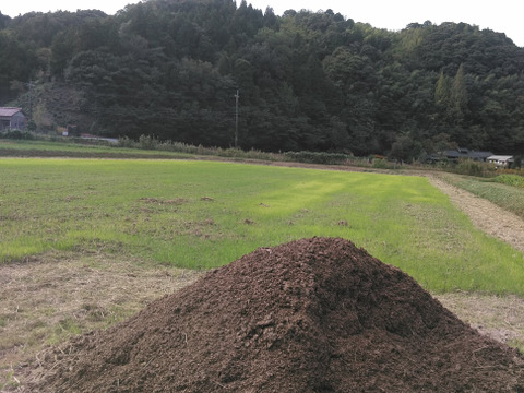 バターナッツかぼちゃ7.0kg