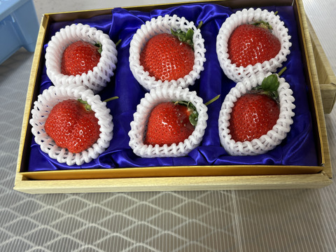 あまおう大玉ギフト