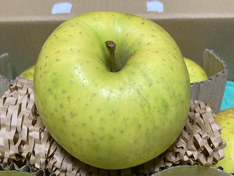 希少種】【あまみつき】（2kg・6～9個入り）パリ甘・ジューシーお得な 