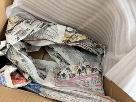 【生産者直送】✴︎人気No.1✴︎生海ぶどう(茎付き) 1kg