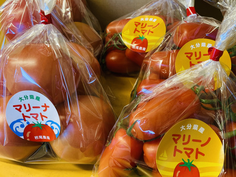 海水栽培　高糖度トマト　潮トマト　大分県産　4袋