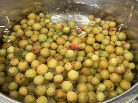 【電子食品流通研究所×廣川農園×mekuri Presents】農薬・化学肥料・除草剤不使用・無添加　特製梅干し約90g×2袋