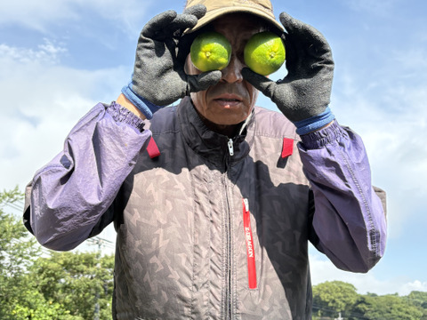 採れたまんま便【ゆらみかん2S～L混合】箱込8キロ