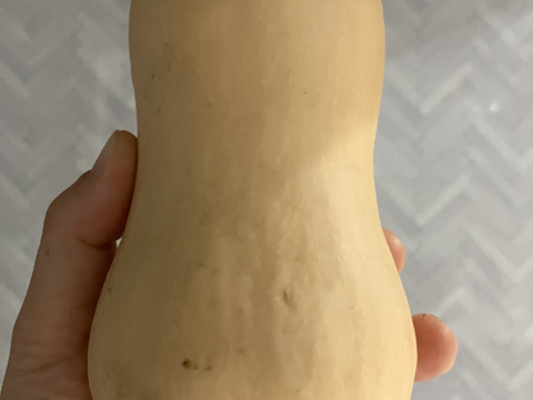 濃厚なコクと甘み♪バターナッツかぼちゃ（約1.8kg（３～５個））