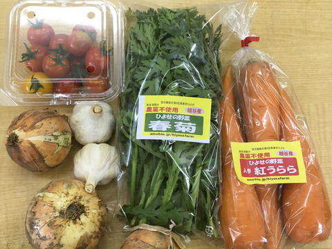 【人気No2】『単身者向け』みんなのお野菜 お試しパック おまかせ 5品
