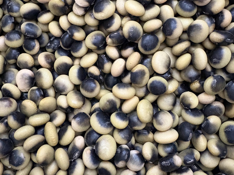 ３種食べ比べ🫘小豆250g＋黒豆250g＋くらかけ豆250g＝計750g★北海道産★農薬化学肥料･除草剤不使用🫘☺️メール便📨