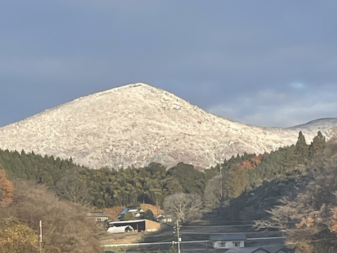令和7年新米低農薬広島県産あきさかり10kg 精米済
