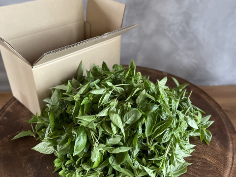 有機スイートバジル700g