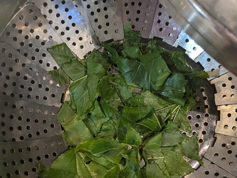 桑の葉🌿30枚🌿桑の葉 生葉🌿特有成分DNJ（1-デオキシノジリマイシン）が食事の糖質分解を抑え食後の血糖値上昇を抑える効果☆採れたてをお届け☆ゆうパック